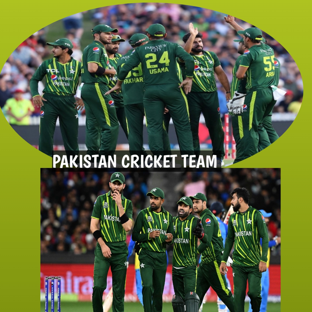 Pakistan cricket team